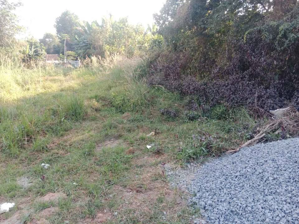 Bán đất thổ cư mặt tiền đường TL 15, xã Phú Hòa Đông, Củ Chi, 220m² - Giá chỉ 3.1 tỷ!