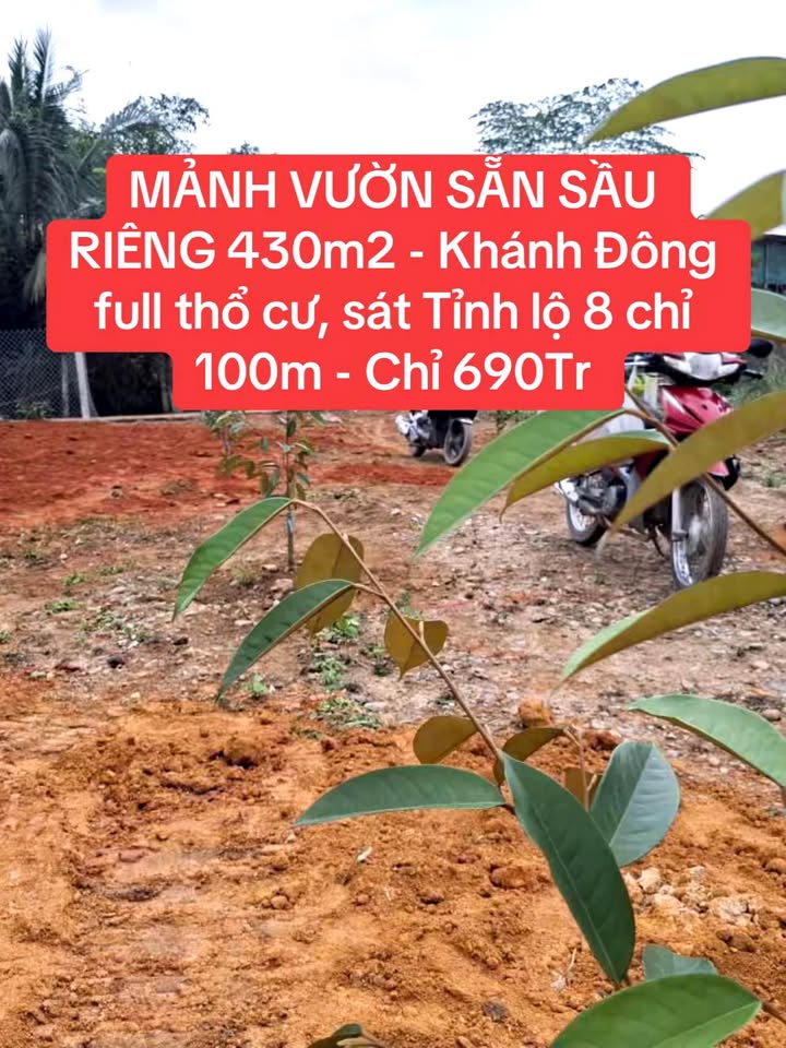 Đất thổ cư 430m² tại Khánh Đông, Khánh Vĩnh - Giá chỉ 690 triệu!