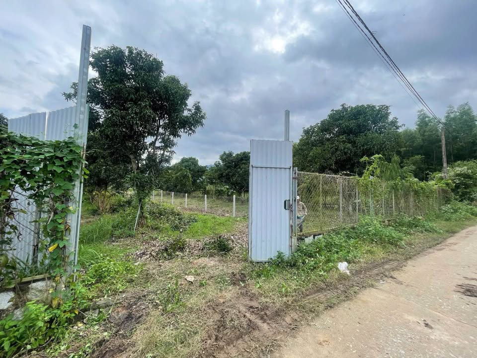 Đất Suối Tiên Diên Khánh 500m² giá 3 tỷ - Đường rộng 7,5m, cơ hội đầu tư sinh lời!