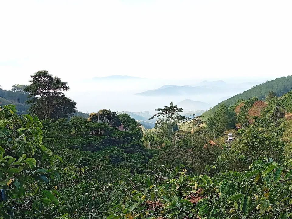 Đất thổ cư thôn 9 Nam Ban 6225m² giá 933.75 triệu - View đẹp, giá cực tốt!