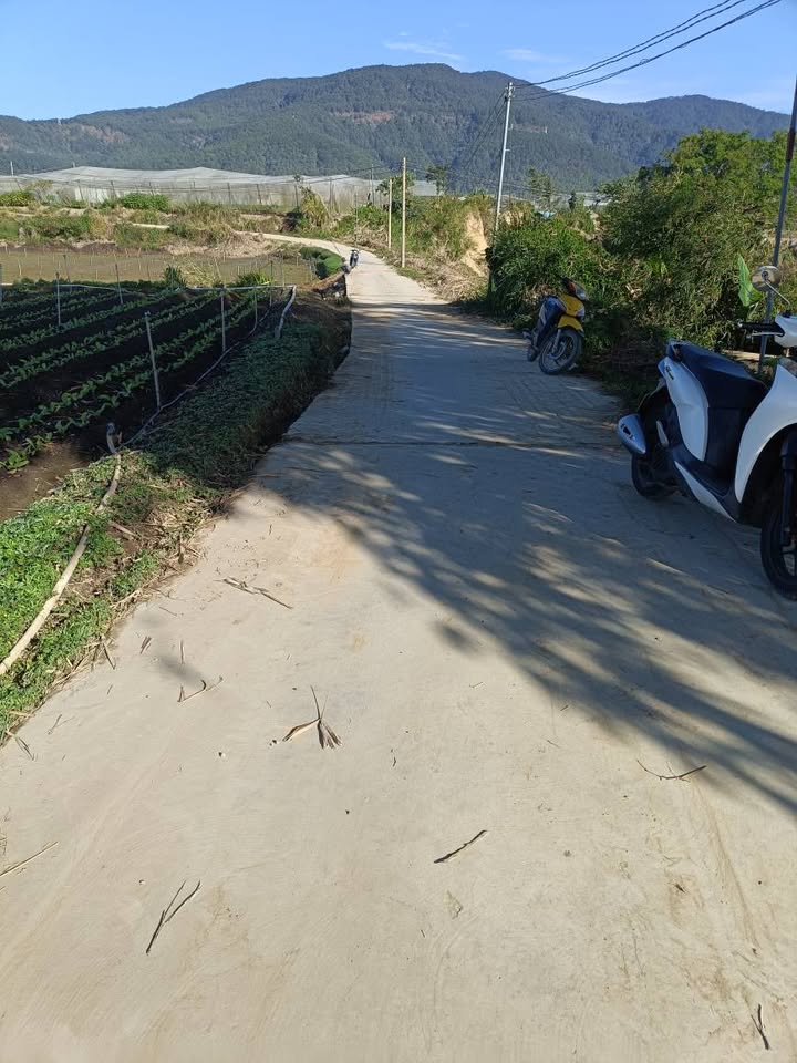 Đất nền Lạc Thạnh, Lạc Lâm 10.800m² giá 1.95 tỷ - Đầu tư sinh lời ngay!