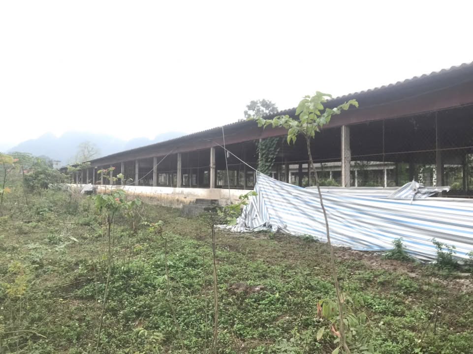 Đất Farm 200.000m² tại Thanh Hà, Lạc Thủy, Hòa Bình - Cơ hội đầu tư hấp dẫn!