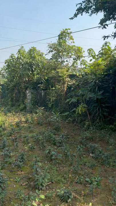 Đất nền Cao Dương, Lương Sơn 1.804m² giá 1.804 tỷ - Chính chủ bán gấp!