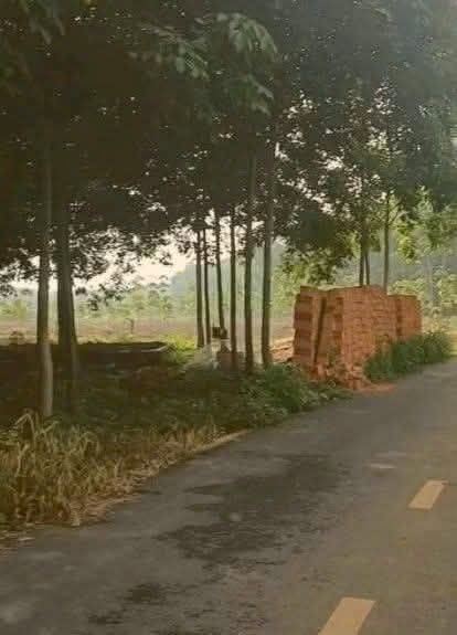 Đất nền Phú Giáo, Bình Dương 9000m² giá 5 tỷ - Mặt tiền đường nhựa thông thoáng!