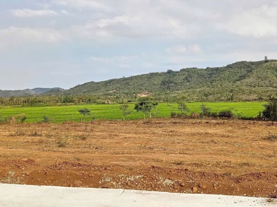 Đất nền thôn 4, xã Ea Hu, huyện Cư Kuin 1360m² giá chỉ 199 triệu - Cơ hội đầu tư hấp dẫn!