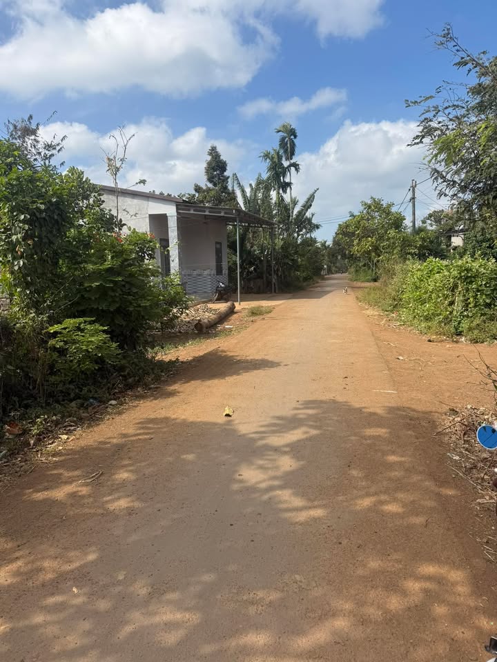 Đất nền Vd4, Phường Tự An, 4000m² giá chỉ 599 triệu - Cơ hội đầu tư không thể bỏ lỡ!