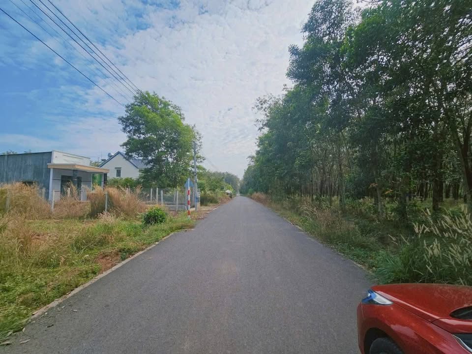 Đất nền đường Cần Câu, Phú Giáo, 1200m² giá 2.5 tỷ - Cơ hội đầu tư sinh lời!