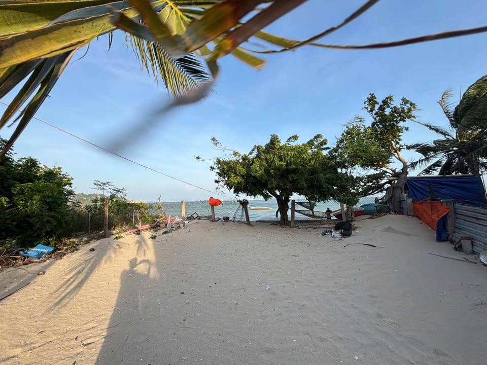 Đất thổ cư Mỹ Hòa, Ninh Thuận 302m² - Tiềm năng đầu tư lớn gần biển!