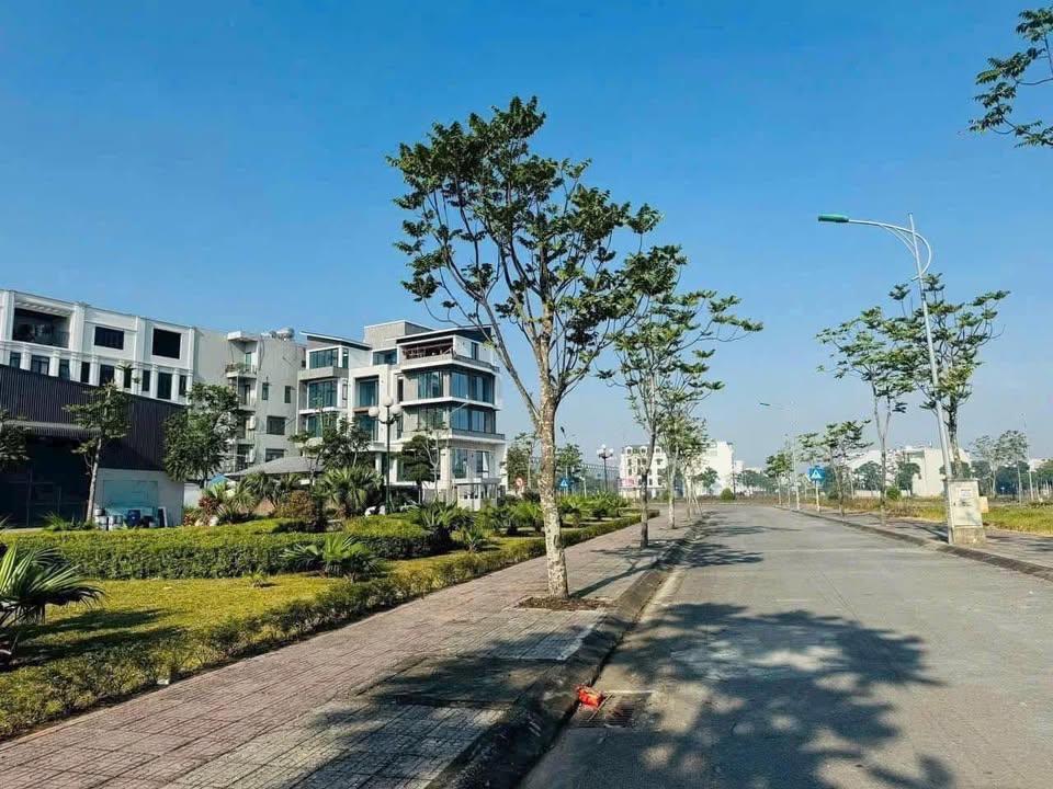 Nhà phố Kỳ Đồng Thái Bình 174m² giá 6 tỷ - Mặt tiền 10m, công viên xanh mát!