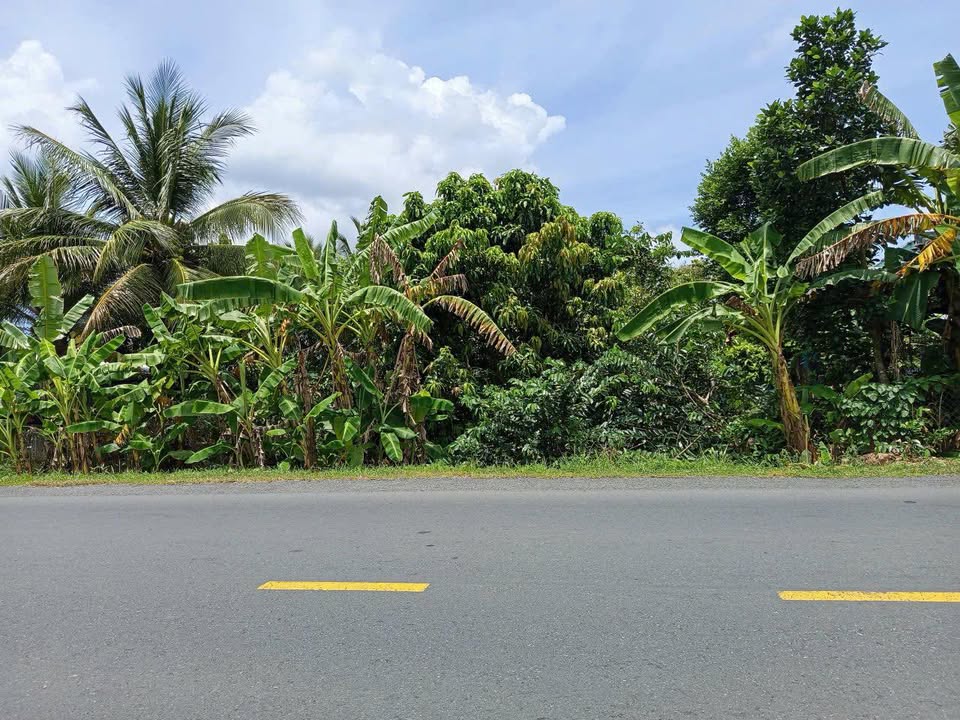 Đất nền mặt tiền Đường Quản Lộ Phụng Hiệp 3700m² giá 700 triệu - Cơ hội đầu tư sinh lời!