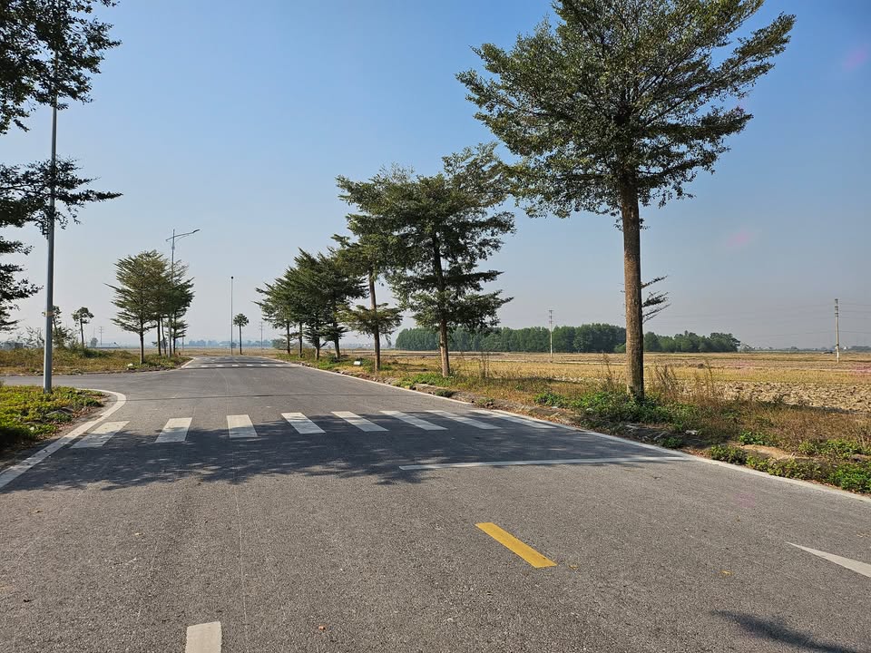 Đất nền Khu dân cư Đức Giang Bắc Giang 90m² giá 3.9 tỷ - Cơ hội đầu tư hấp dẫn!