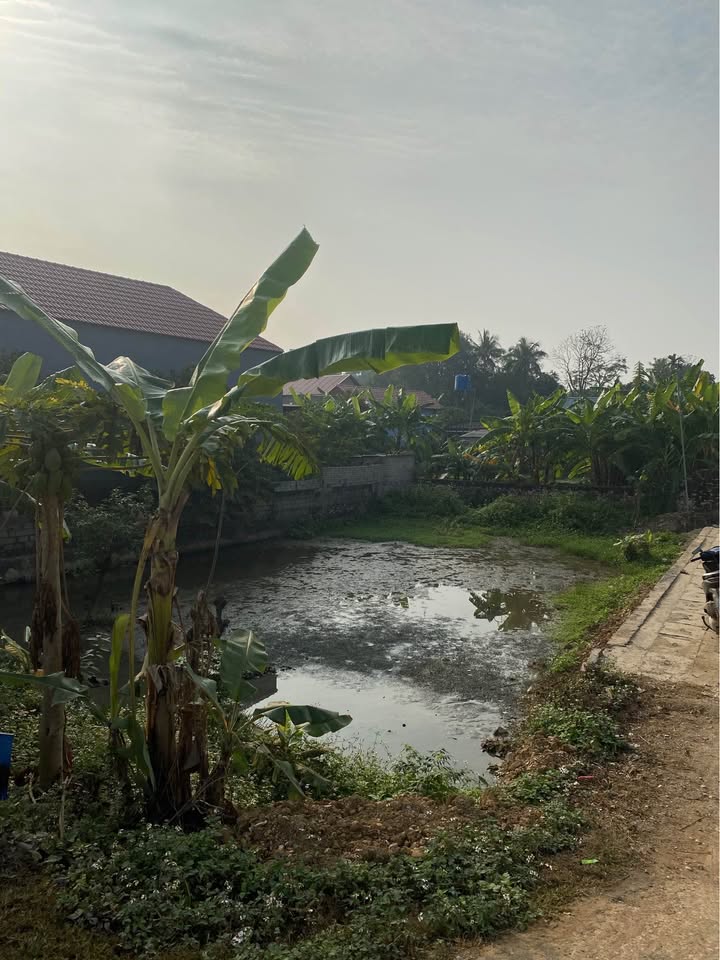 Đất nền 248m² tại Định Thành, Yên Định - Giá chỉ 2 tỷ, chính chủ!