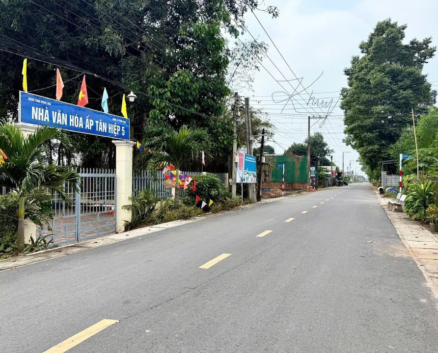 Đất thổ cư Phước Thái 300m² giá 2.2 tỷ - Đường nhựa, tiện ích đầy đủ!