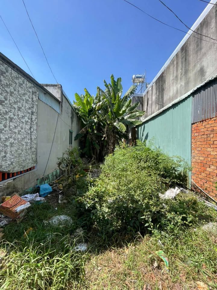 Đất nền mặt tiền đường Rạch Gòi Lớn, Mỹ Quý, Long Xuyên - 59.6m² giá chỉ 1.05 tỷ, thương lượng nhẹ!