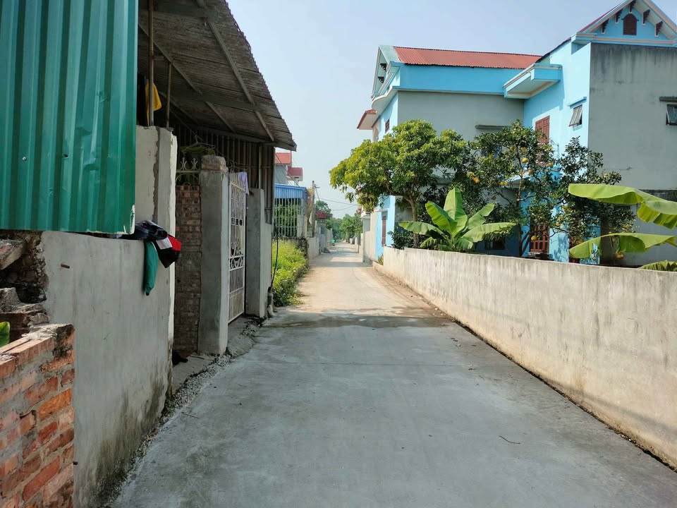 Đất thổ cư Chính Nghĩa Kim Động 87.6m² chỉ 1.x tỷ - Đầu tư tiềm năng!