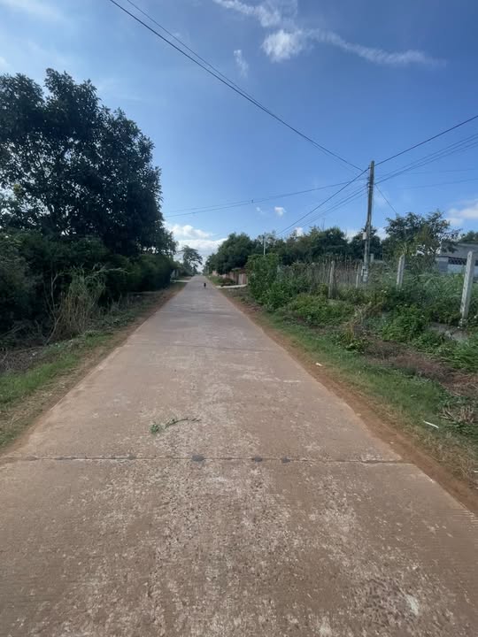 Đất thổ cư Cư Bao 1701m² giá 115 triệu - Tiềm năng đầu tư lớn!