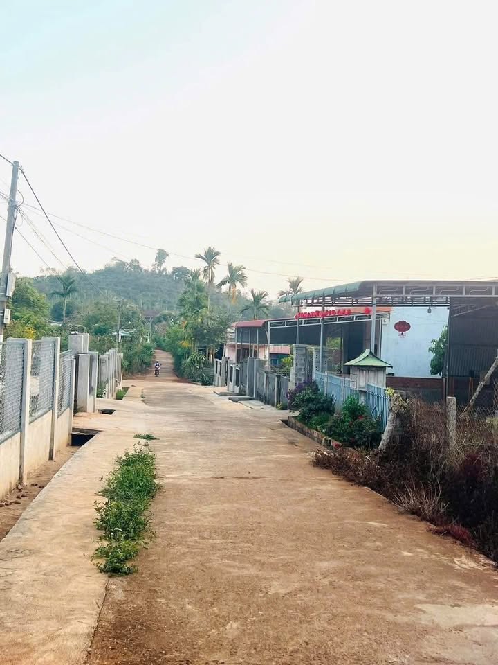 Đất thổ cư 198m² gần cổng chào thôn 1 Dieyang Buôn Hồ - Giá chỉ 599 triệu!