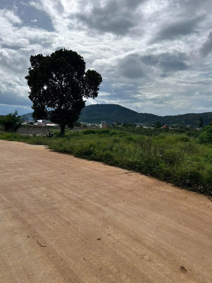 Bán lô đất 150m² tại Liên Hiệp, Đức Trọng - Giá hấp dẫn chỉ 1.05 tỷ!