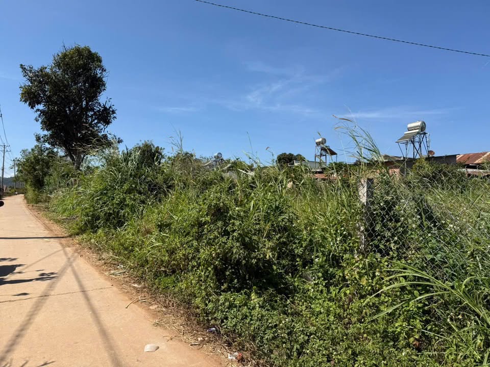 Lô đất thổ cư 72m² tại Ma Đanh, Đơn Dương chỉ 380 triệu - Cơ hội đầu tư hấp dẫn!