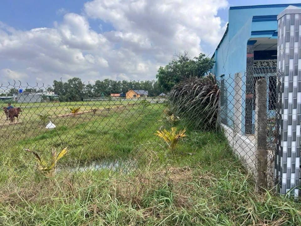 Đất nền Ấp Bình Lợi, Đức Hòa 333m² giá 1,4 tỷ - Đầu tư lâu dài, bớt lộc!