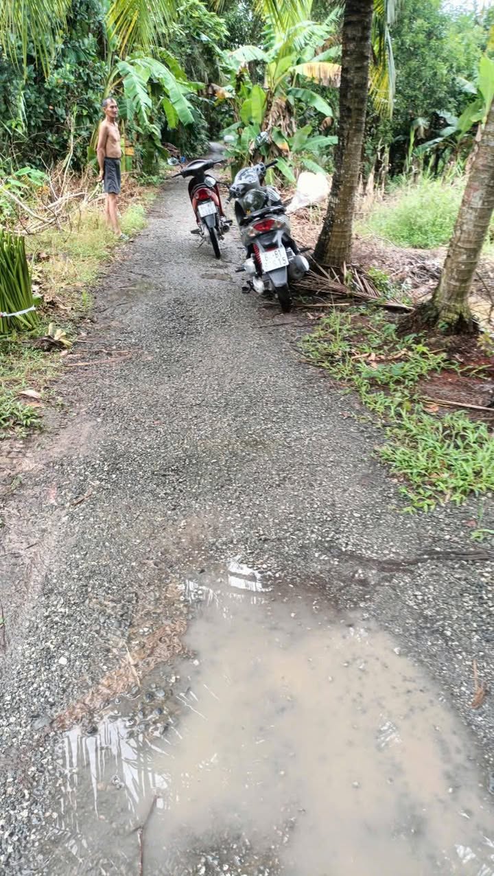 Đất vườn 2982m² xã Phú Quới, Vĩnh Long - Đầu tư sinh lời, sổ hồng rõ ràng!