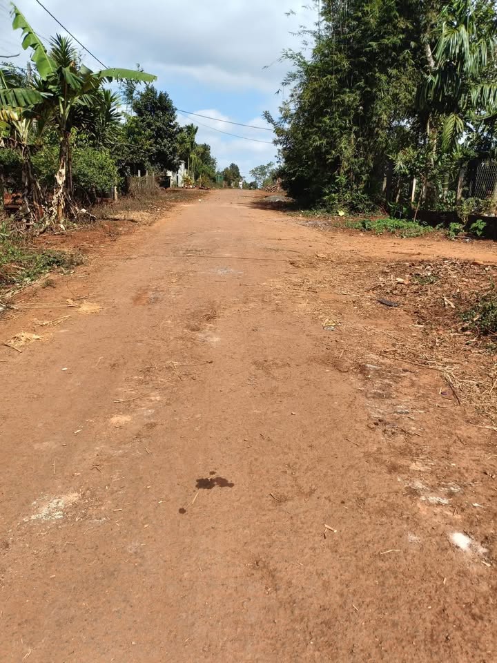 Đất mặt tiền Trần Cảnh, Buôn Hồ 150m² giá 8xx triệu - Cơ hội đầu tư tuyệt vời!