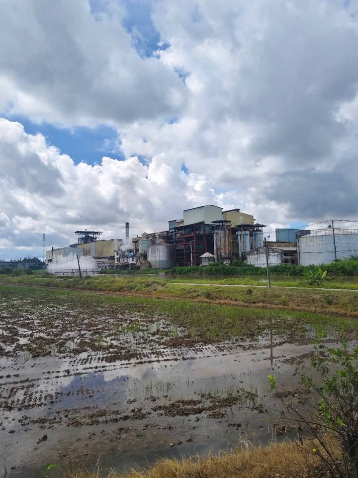 Đất nền mặt tiền đường Trần Đại Nghĩa, Xã Châu Khánh, 6500m² - Giá 3.25 tỷ thương lượng!