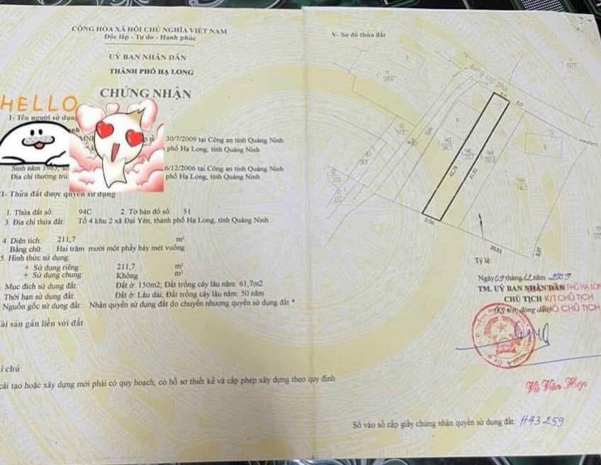 Đất nền Đại Yên Hạ Long 211m² giá thỏa thuận - Đầu tư tiềm năng sinh lời cao!