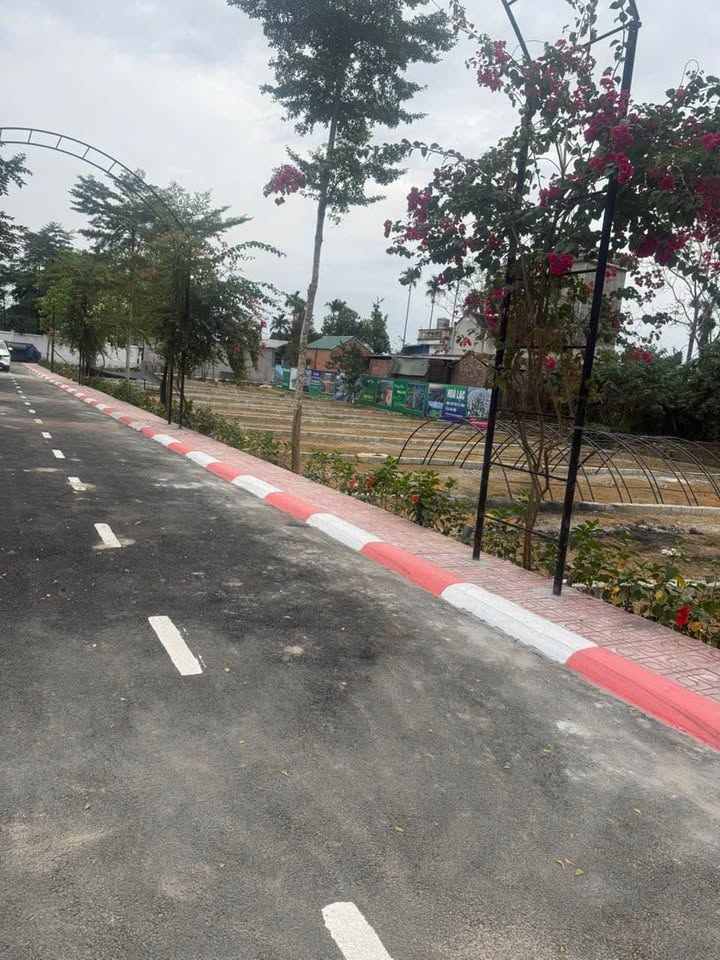 Đất thổ cư Phú Cát 100m² giá 3 tỷ - Cơ hội đầu tư không thể bỏ lỡ!