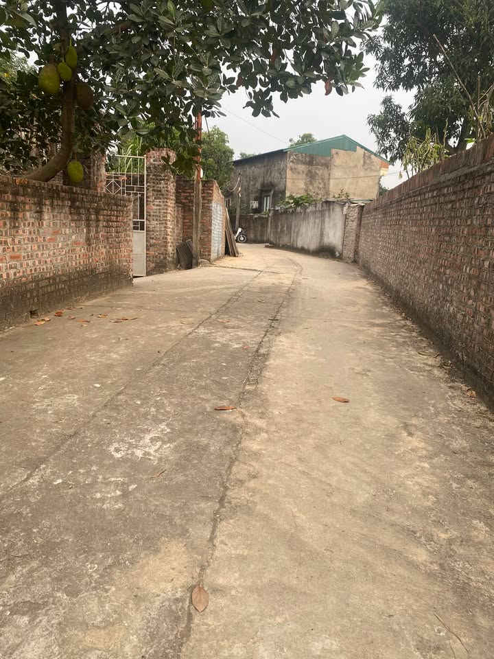 Đất nền mặt tiền 5m tại phường Cao Minh 65m² giá 900 triệu - Vị trí đắc địa gần chợ và trường học!