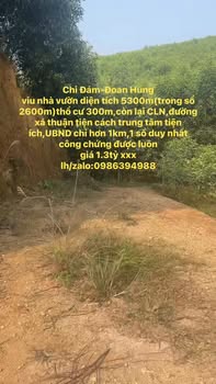 Farm Chi Đám Đoan Hùng Phú Thọ 5.300m² giá 1.3 tỷ - Cơ hội đầu tư hấp dẫn!