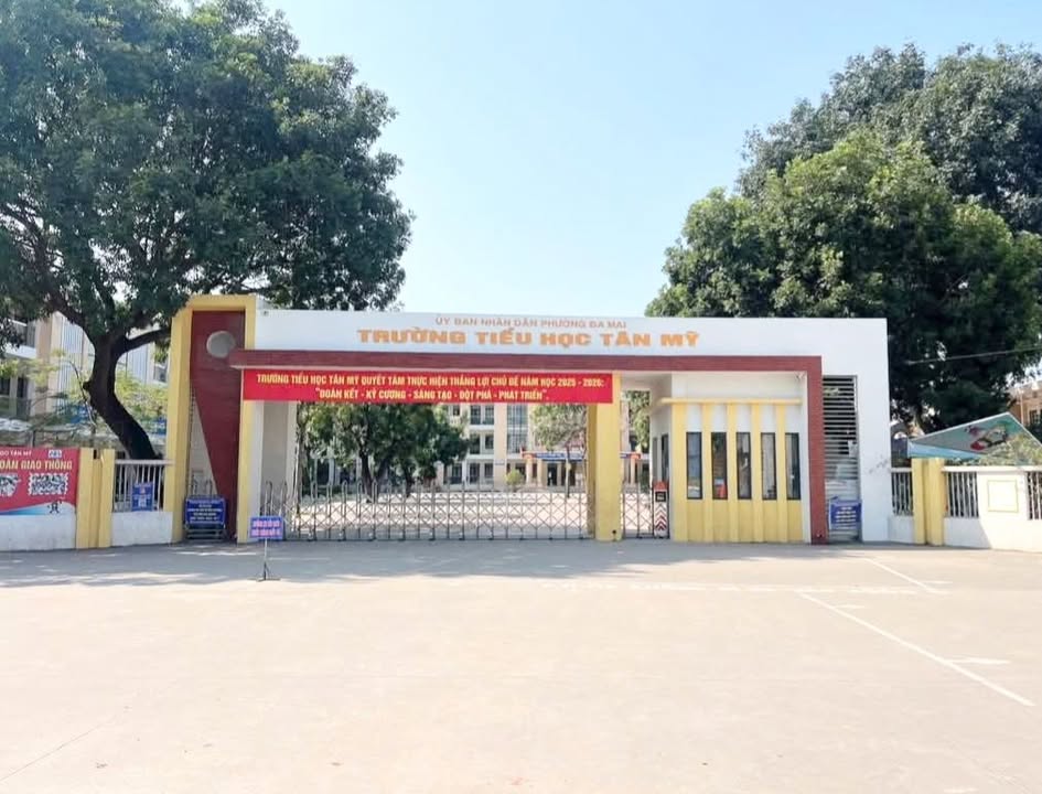 Đất nền dự án Tân Mỹ Avenue 80m² giá chỉ 300 triệu - Cơ hội đầu tư tuyệt vời!