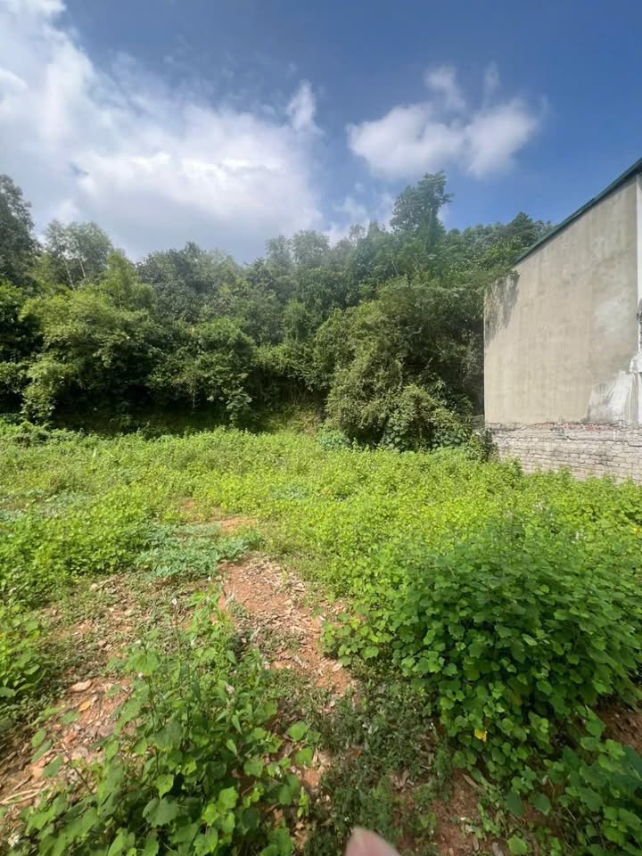 Đất nền thôn Xy, Yên Dũng 616m² giá 6.x tỷ - Đầu tư tuyệt vời!