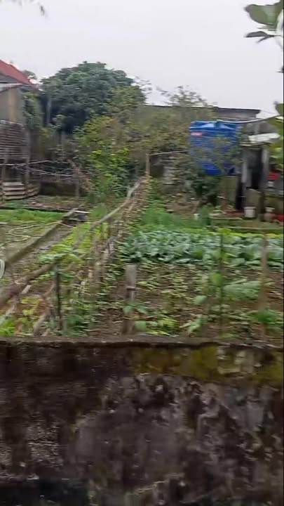 Đất nền Quảng Yên 200m² giá 1 tỷ - Đầu tư sinh lời nhanh chóng!