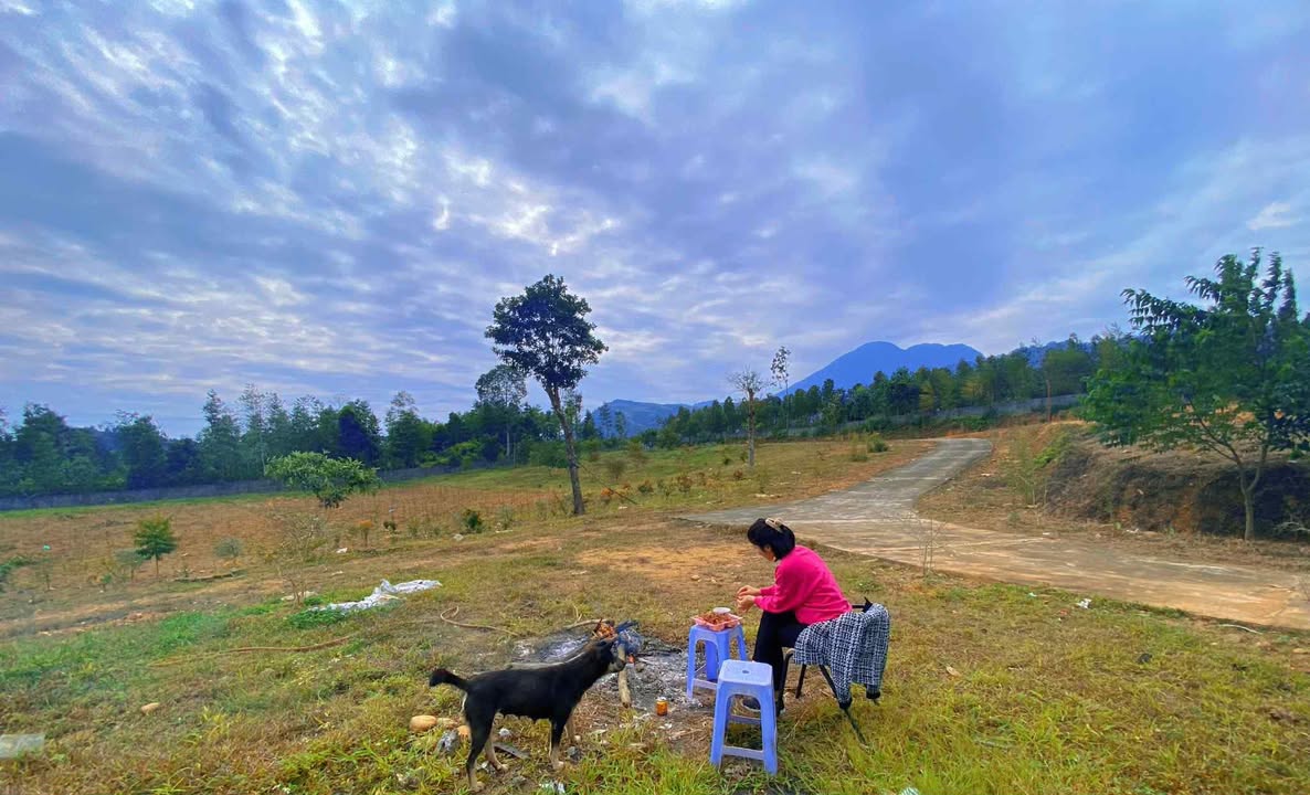 Đất và Nhà thôn Lùng Sinh, xã Việt Lâm, huyện Vị Xuyên, 49,400m² giá 15 tỷ - Sổ đỏ chính chủ, thương lượng