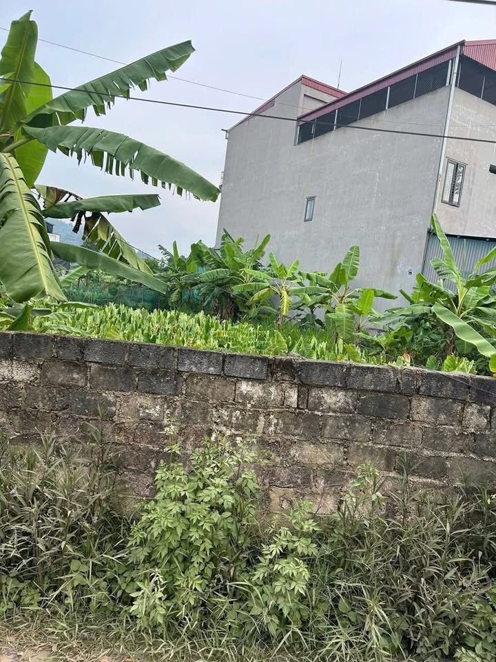 Đất thổ cư Hương Lung 240m² giá chỉ hơn 1 tỷ - Mặt tiền đẹp, chính chủ bán gấp!