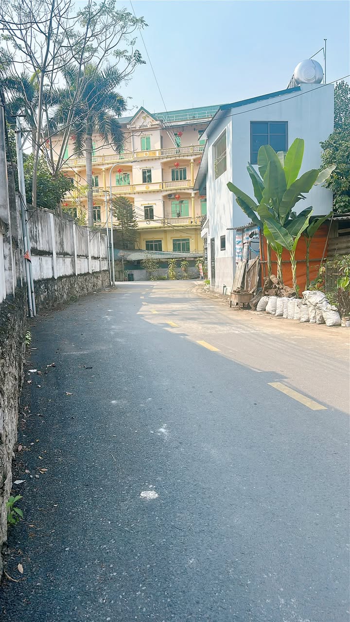 Đất vàng Thanh Miếu, Việt Trì 130m² giá 3.9 tỷ - Cơ hội đầu tư hấp dẫn!