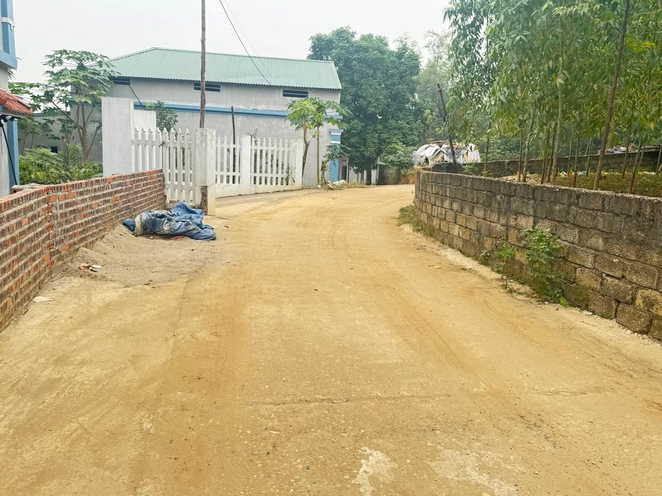 Đất nền Xã Thanh Đình, Việt Trì 1.130m² - Lô góc 2 mặt tiền, giá thỏa thuận!