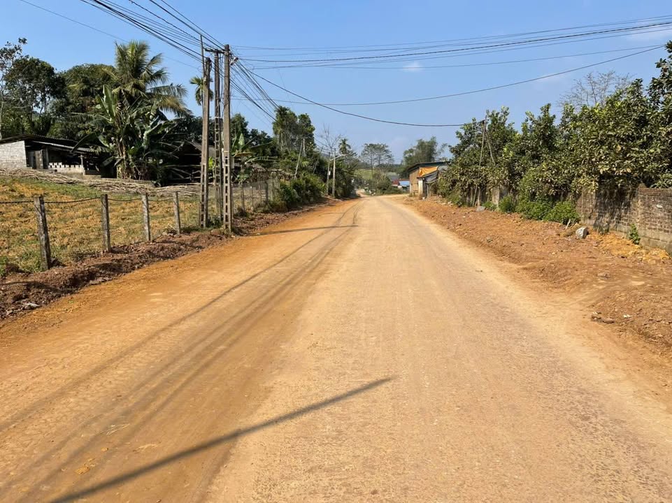 Đất thổ cư tại Phú Vinh, Tân Lạc, Hòa Bình 635m² giá 900 triệu - Cơ hội đầu tư hấp dẫn!