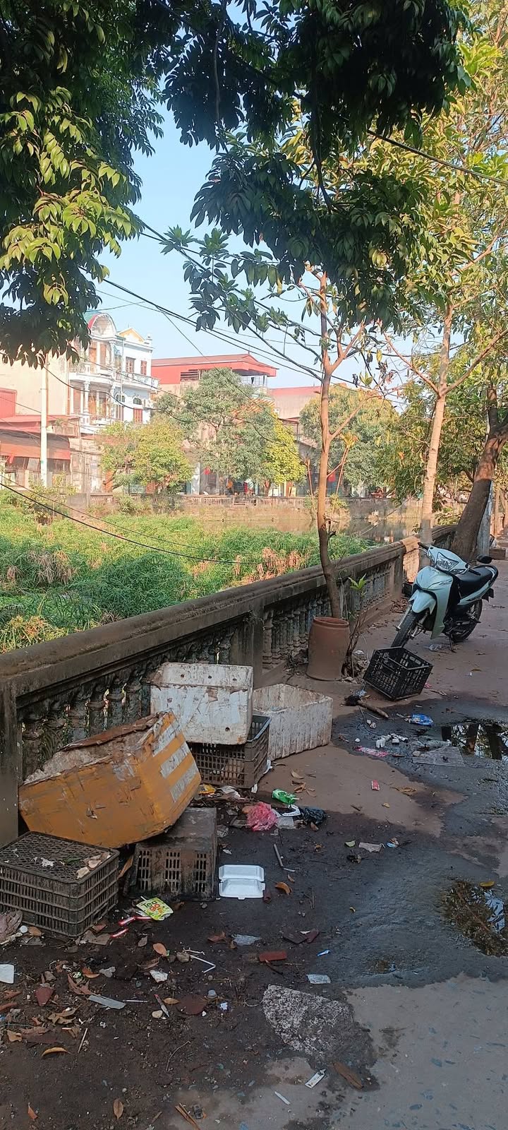 Đất nền Hương Mạc, Từ Sơn 93m² giá 3.9 tỷ - Phong thủy tốt, đầu tư sinh lời