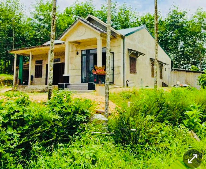 Đất Farm 1200m² Tỉnh Lộ 17, Huyện Thạch Hà - Giá chỉ 149 triệu