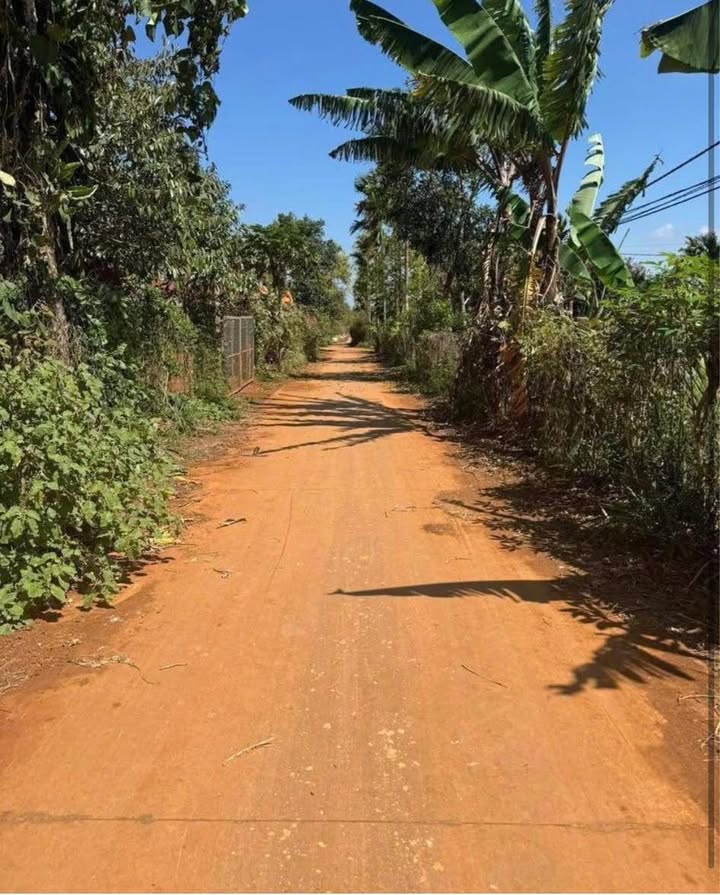 Đất nền buôn Eanur, TL 8, 450m² giá chỉ 990 triệu - Cơ hội đầu tư không thể bỏ lỡ!