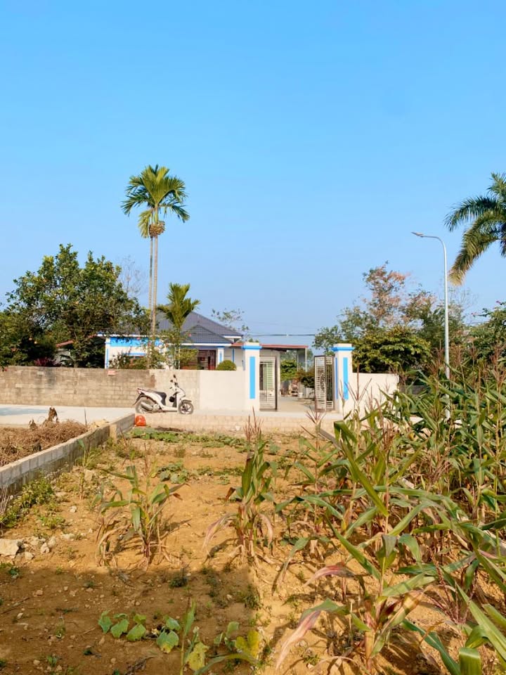 Đất nền KCN Nhuận Trạch 84m² giá 1 tỷ - Cơ hội đầu tư hấp dẫn!