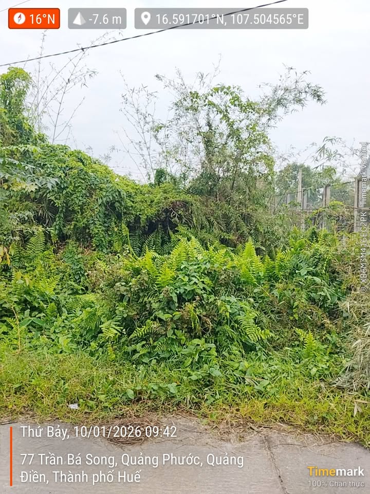 Đất mặt tiền đường Trần Bá Song, Quảng Điền, Thừa Thiên Huế 243m² - Chính chủ, giá thương lượng!