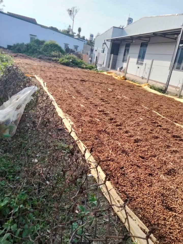 Đất góc 2 mặt tiền Lữ Gia, Lộc Châu 289m² giá 3.2 tỷ - Tiềm năng đầu tư lớn!