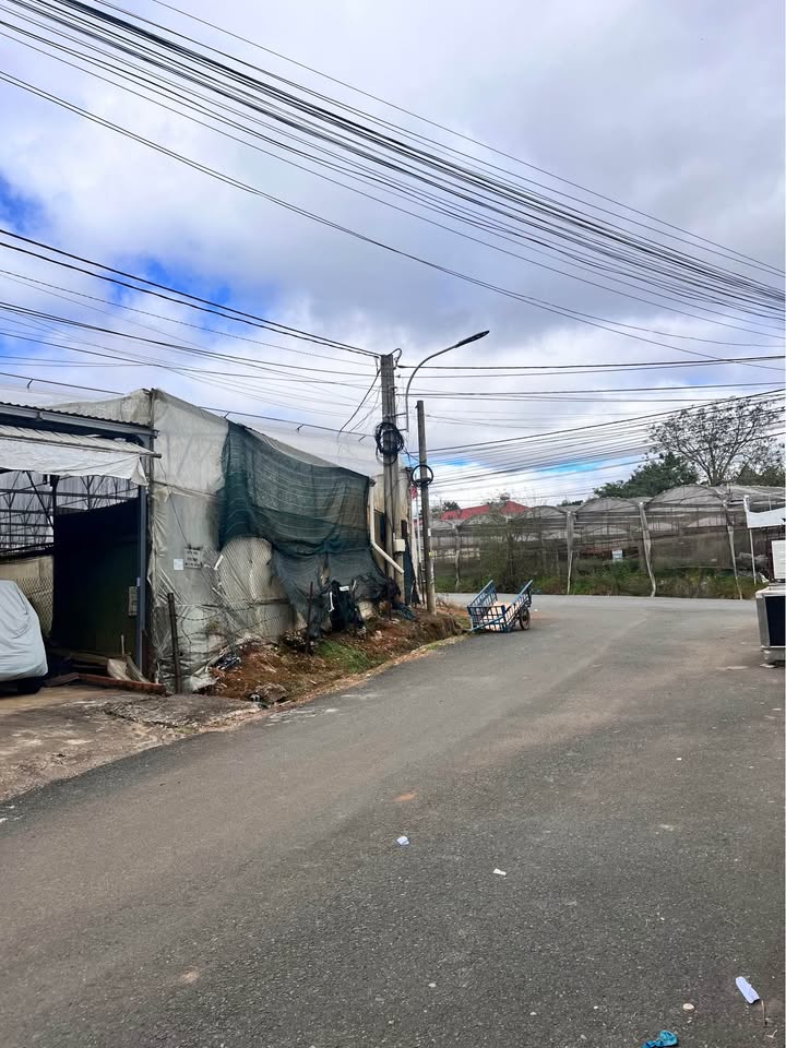 Nhà mặt tiền đường nhựa 8m, Phường 11, Đà Lạt, 825m² - Cơ hội đầu tư hiếm có!