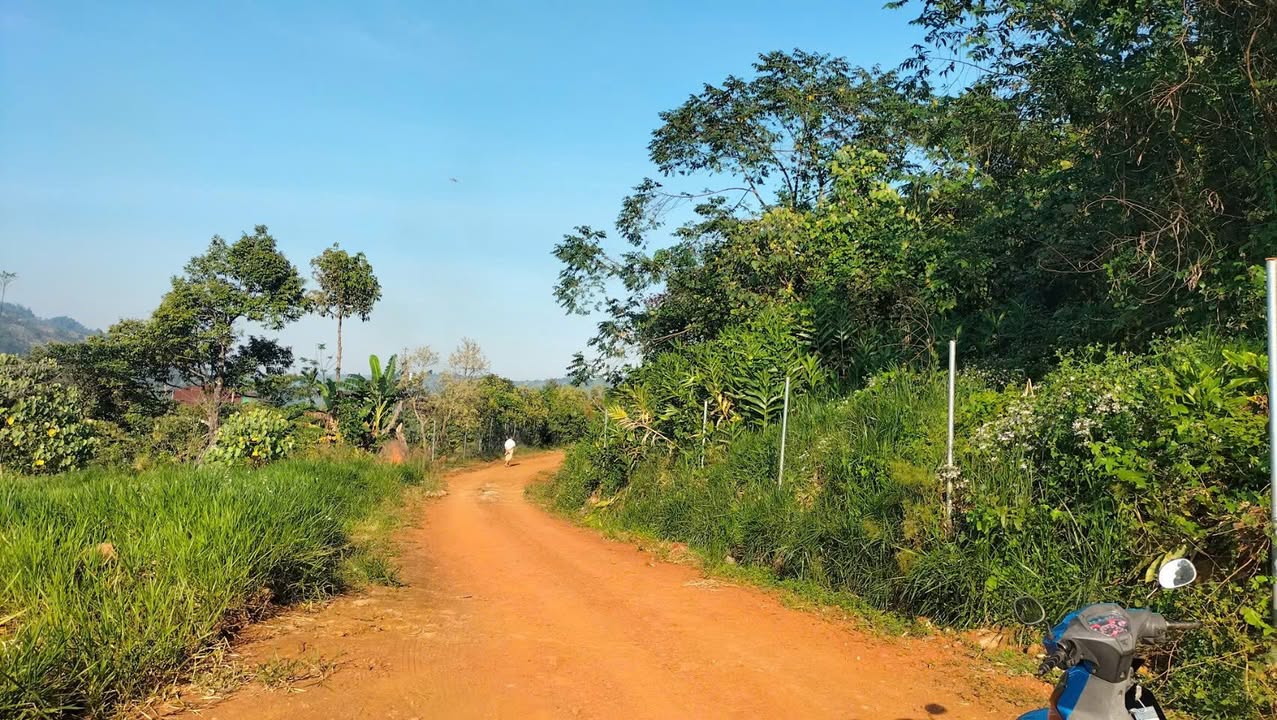 Đất mặt tiền Hồ Ngọc, Bảo Lộc 500m² giá 1.05 tỷ - Cơ hội đầu tư hiếm có!