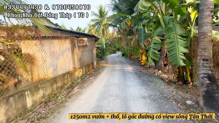 Đất vườn 2000m² tại xã Tân Thới, Tiền Giang - Giá đầu tư chỉ 1.4 tỷ!