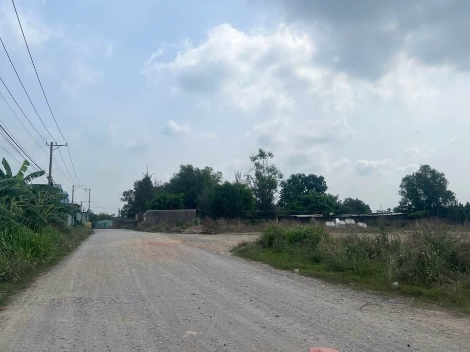 Đất xây xưởng 6000m² tại Thiện Tân, Vĩnh Cửu 19 tỷ - 3 mặt tiền xe container vào thoải mái!