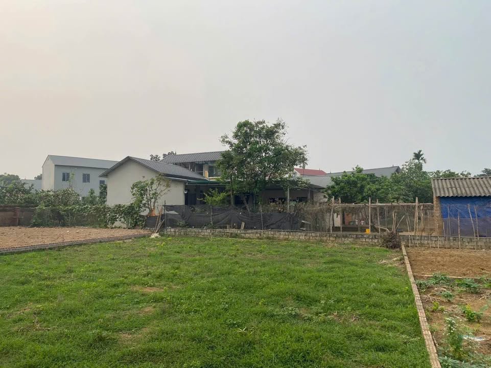 Đất thổ cư 272m² Phú Cát, Quốc Oai - Mặt tiền 14m, giá đầu tư!